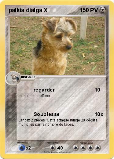 Pokemon palkia dialga X