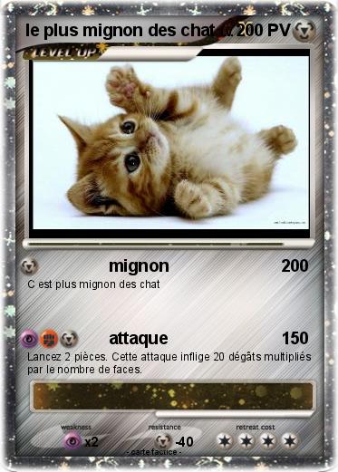 Pokemon le plus mignon des chat