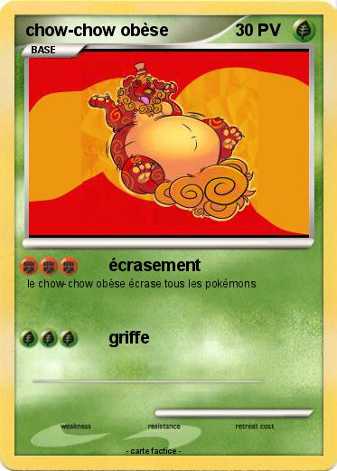 Pokemon chow-chow obèse