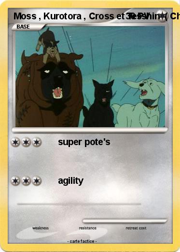 Pokemon Moss , Kurotora , Cross et Tesshin  ( Chibi )