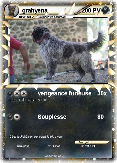 Pokemon grahyena
