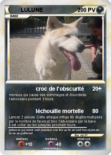 Pokemon LULUNE