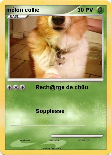 Pokemon mélon collie