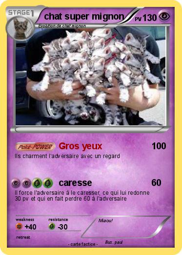 Pokemon Chat Super Mignon 4