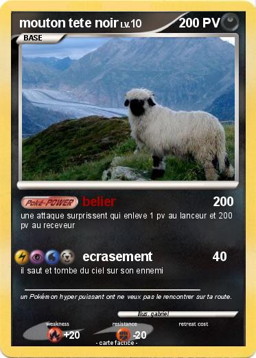 Pokemon mouton tete noir