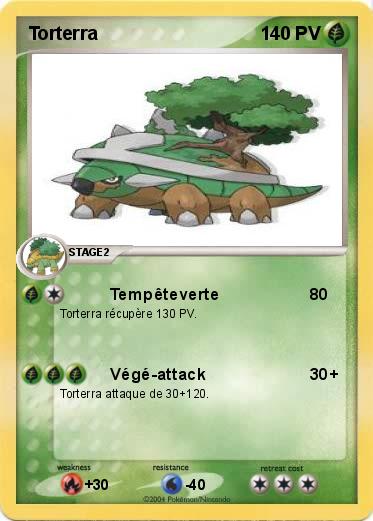 Pokemon Torterra