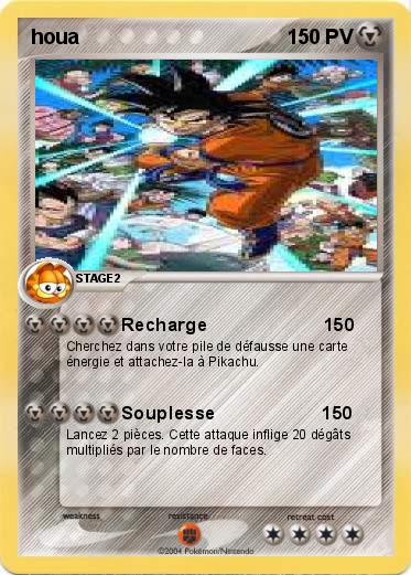 Pokemon houa