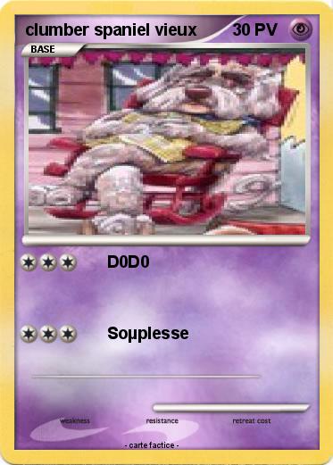Pokemon clumber spaniel vieux