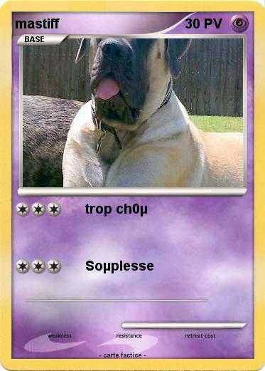 Pokemon mastiff