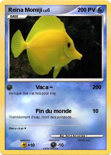 Pokemon Reina Momiji