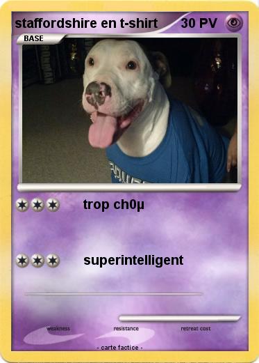 Pokemon staffordshire en t-shirt