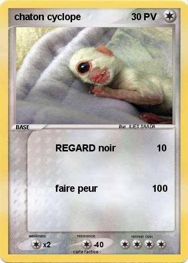 Pokemon chaton cyclope