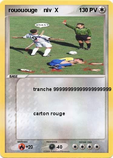 Pokemon rouououge    niv  X