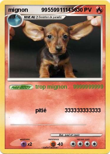 Pokemon mignon         995599111456                                                                          58967
