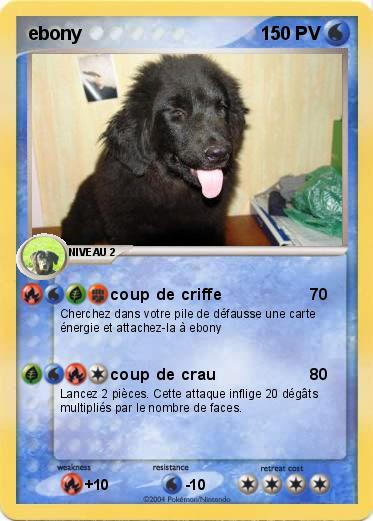 Pokemon ebony