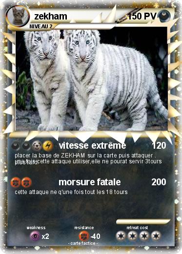 Pokemon zekham