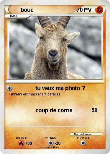 Pokemon bouc