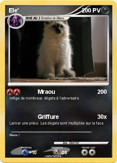 Pokemon Ele'