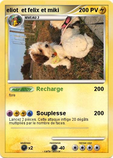 Pokemon eliot  et felix et miki