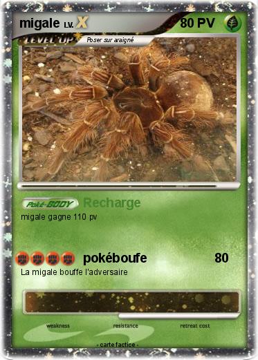 Pokemon migale
