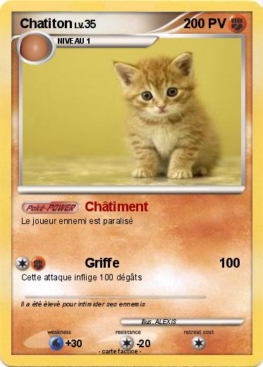 Pokemon Chatiton