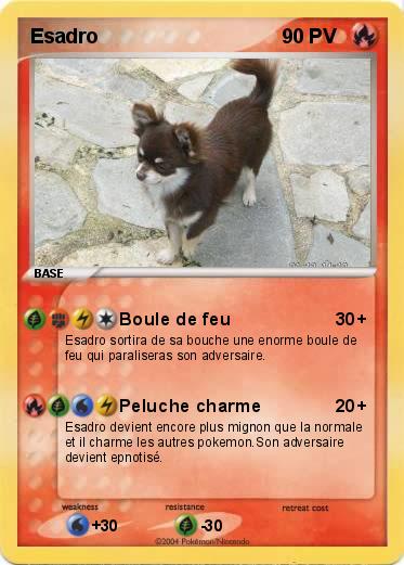 Pokemon Esadro