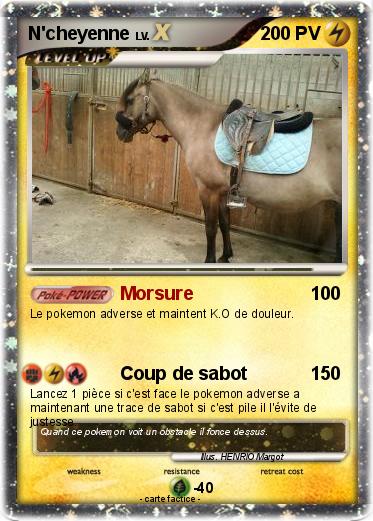 Pokemon N'cheyenne