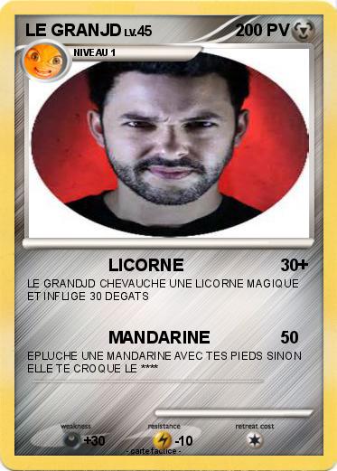 Pokemon LE GRANJD