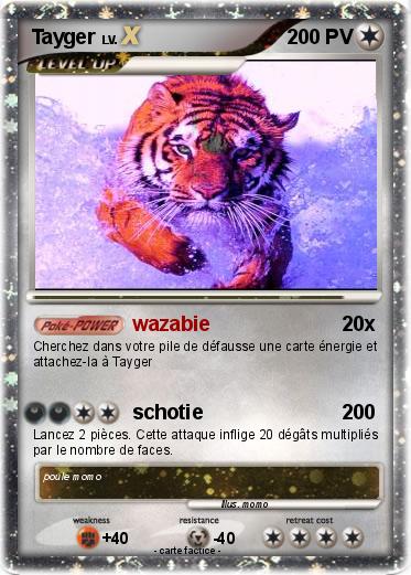 Pokemon Tayger