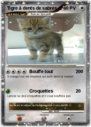 Pokemon Tigre à dents de sabres