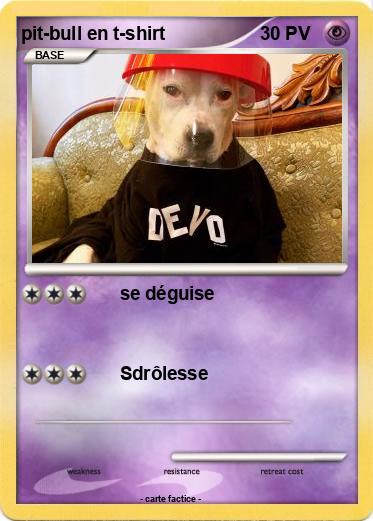 Pokemon pit-bull en t-shirt