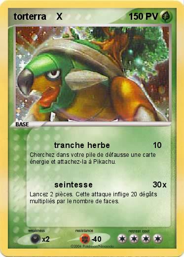 Pokemon torterra    X