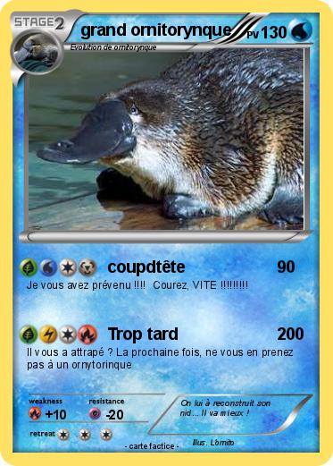 Pokemon grand ornitorynque