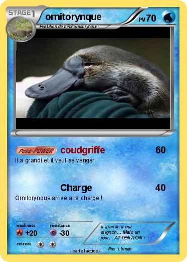 Pokemon ornitorynque
