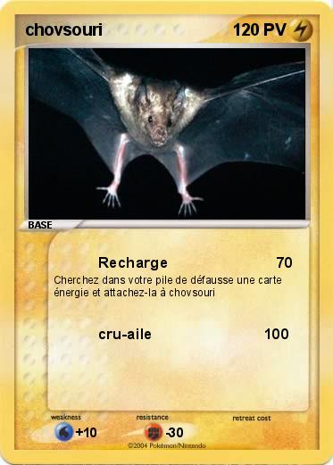 Pokemon chovsouri
