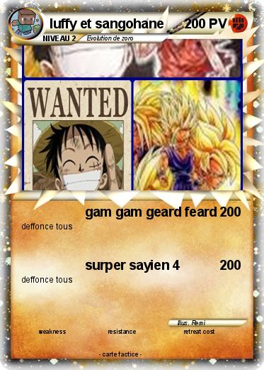 Pokemon luffy et sangohane