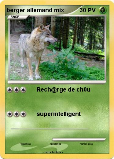 Pokemon berger allemand mix