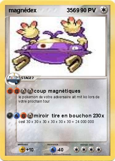 Pokemon magnédex                   3569