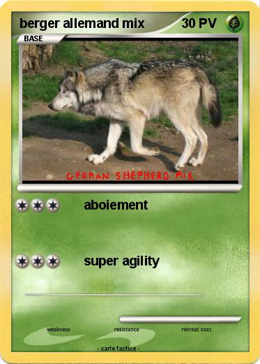 Pokemon berger allemand mix