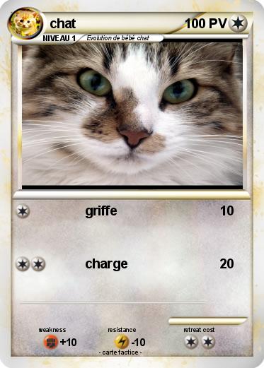 Pokemon chat