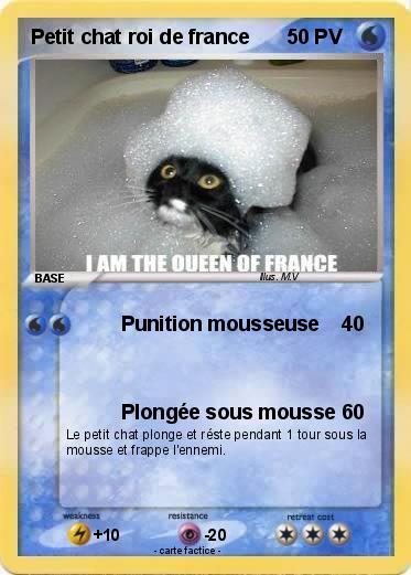 Pokemon Petit chat roi de france