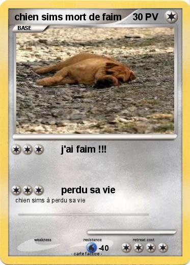 Pokemon chien sims mort de faim