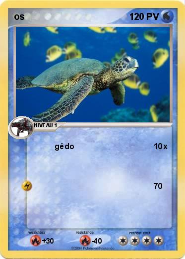 Pokemon os
