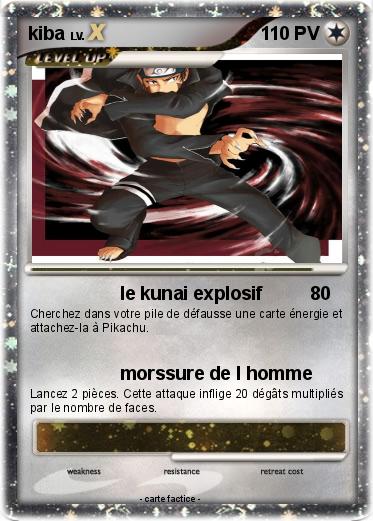 Pokemon kiba