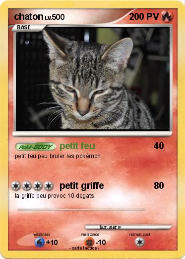 Pokemon chaton