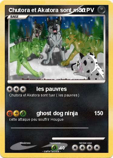 Pokemon Chutora et Akatora sont mort
