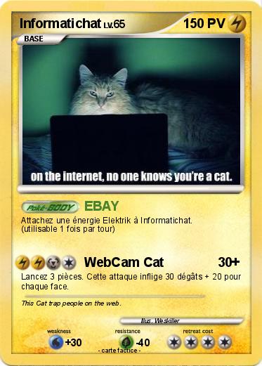 Pokemon Informatichat