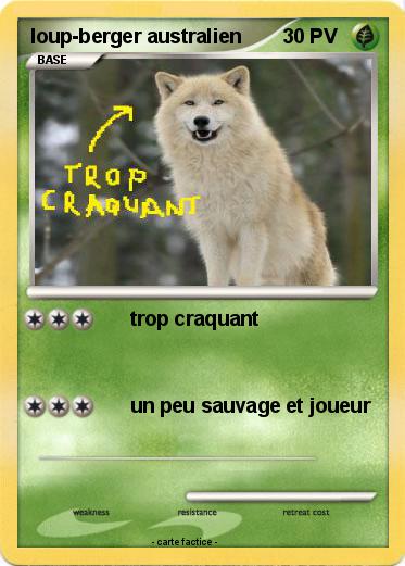 Pokemon loup-berger australien
