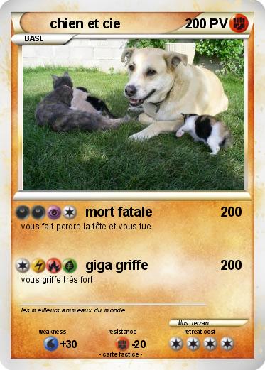 Pokemon chien et cie