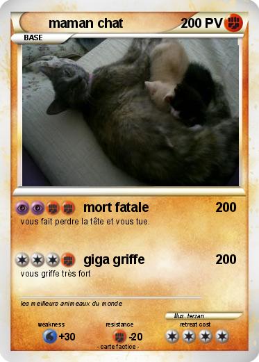Pokemon maman chat